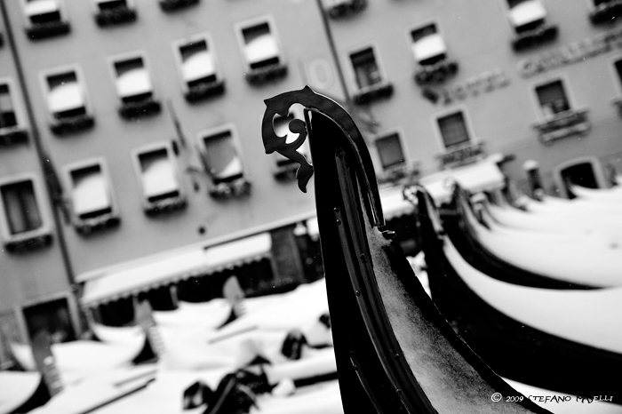 Copyright Stefano Maselli